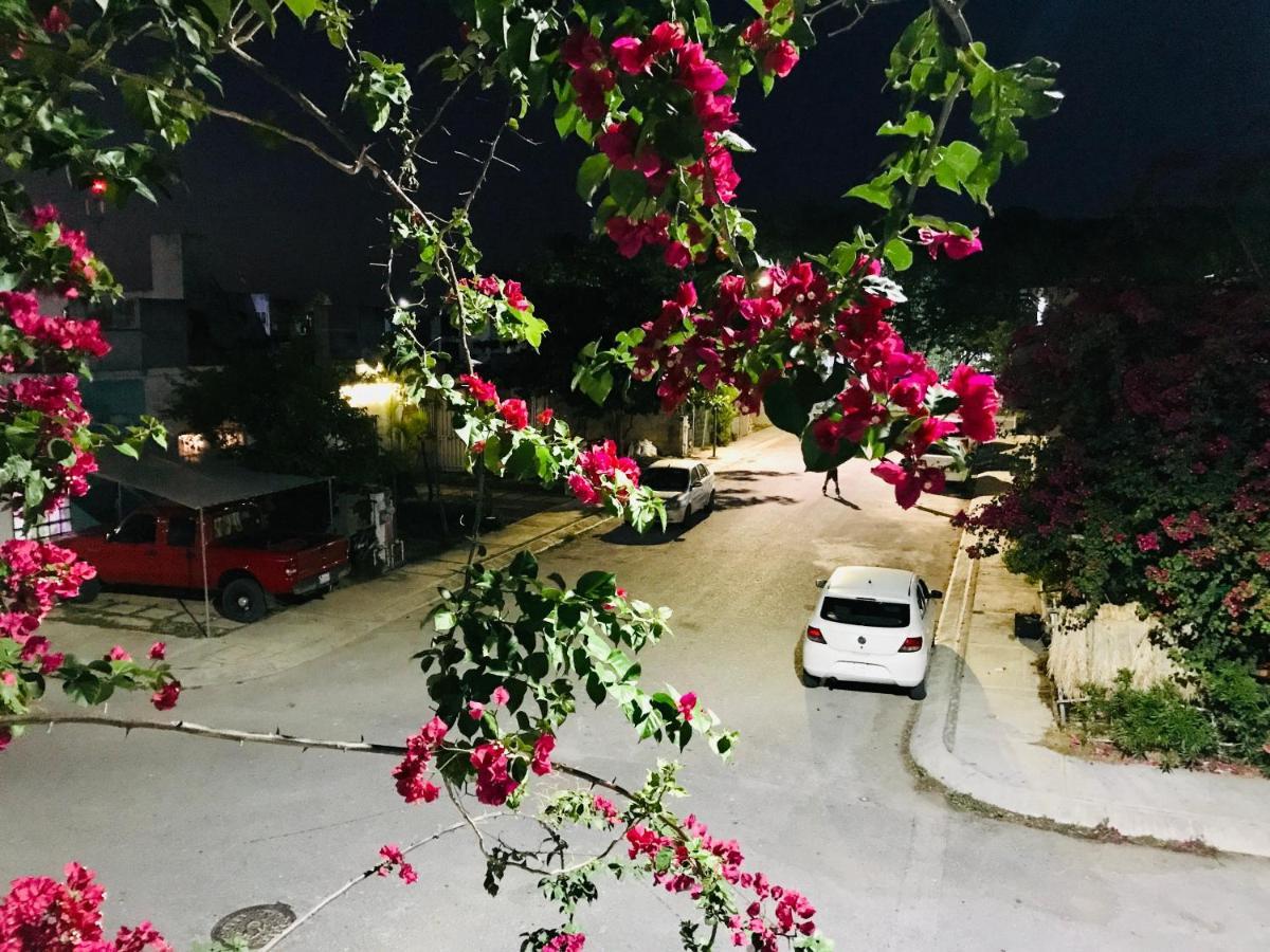 Cozy Tiny Studio Acasadialexplayadelcarmen Πλάγια Ντελ Κάρμεν Εξωτερικό φωτογραφία