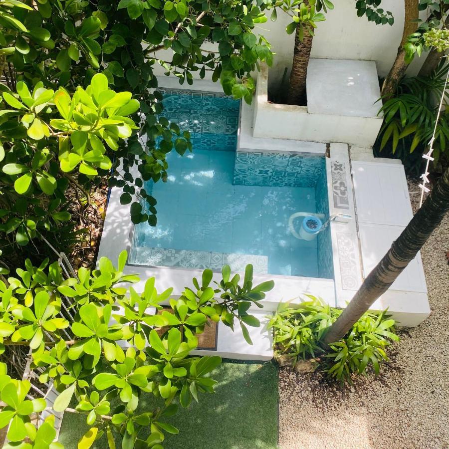 Cozy Tiny Studio Acasadialexplayadelcarmen Πλάγια Ντελ Κάρμεν Εξωτερικό φωτογραφία
