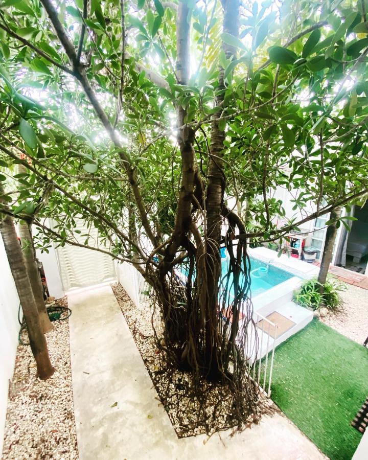 Cozy Tiny Studio Acasadialexplayadelcarmen Πλάγια Ντελ Κάρμεν Εξωτερικό φωτογραφία