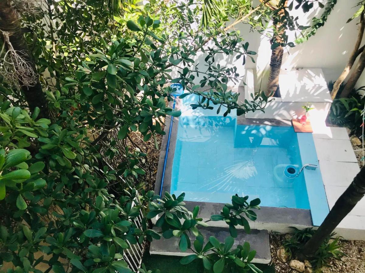Cozy Tiny Studio Acasadialexplayadelcarmen Πλάγια Ντελ Κάρμεν Εξωτερικό φωτογραφία
