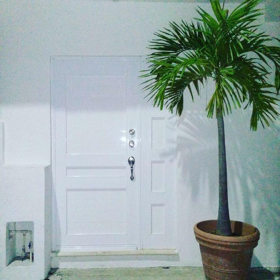 Cozy Tiny Studio Acasadialexplayadelcarmen Πλάγια Ντελ Κάρμεν Εξωτερικό φωτογραφία